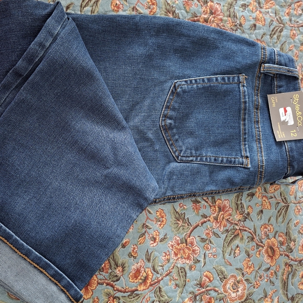 Capri Jeans, Blue, Style & Co, Perfect Fit, Sz 14